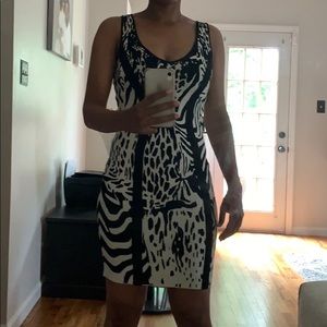Zebra Print Teri Jon Dress